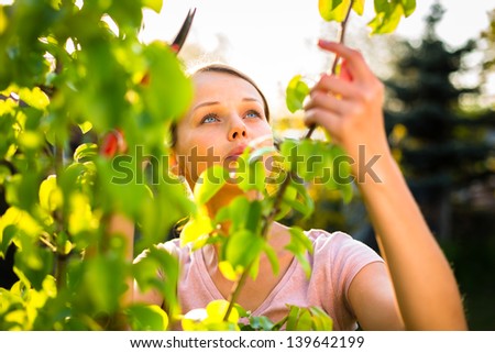 Pretty female gardener taking care of her lovely garden on a spring day - cutting branches, double digging/loosening the soil with a spade