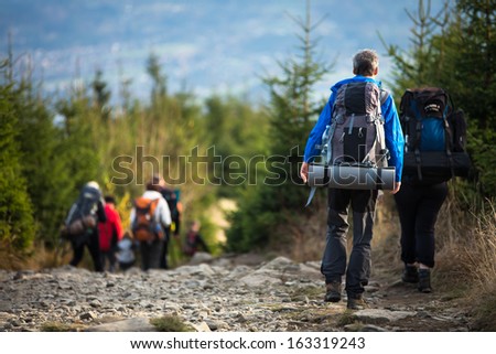 People hiking - goiing down a lovely alpine path