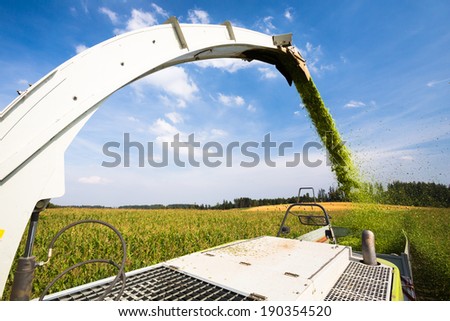 Modern combine harvester unloading green corn into the trucks