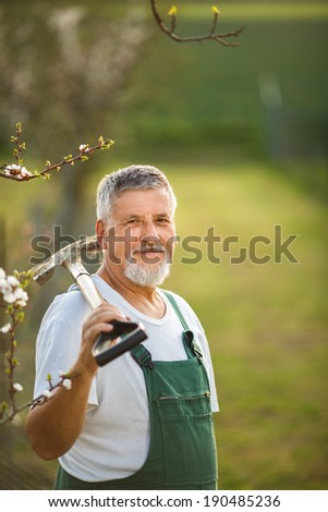 Portrait of a handsome senior man gardening in his garden (color toned image)