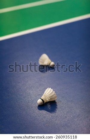 Badminton - badminton courts with two shuttlecocks (shallow DOF; color toned image)