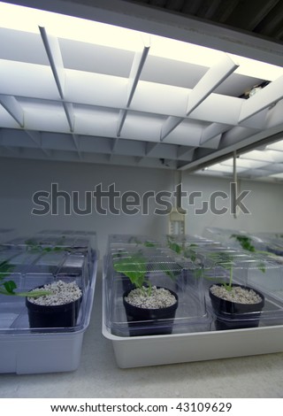 science concept - botany research center freezer with young plants being kept at a very low temperature