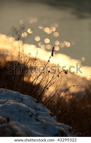 Winter series - at a close of an icy-cold winter day by a river (setting sun reflects on the surface of a small stream in the beackground, focus on the grass in the foreground)