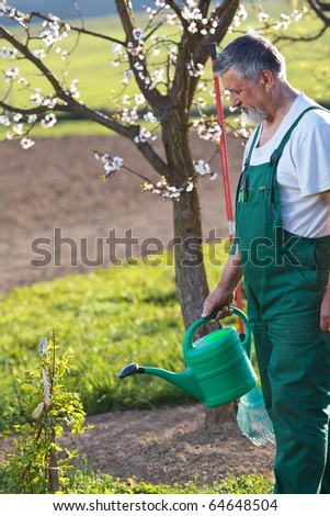 watering orchard/garden - portrait of a senior man gardening in his garden (color toned image)