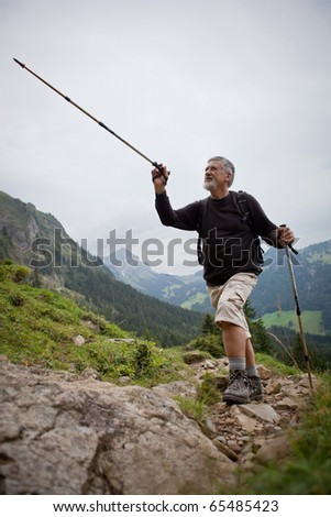 handsome senior man showing direction with his hiking stick while hiking outdoors in mountains