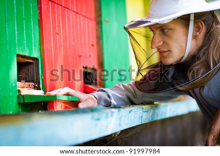 Beekeeper by an apiary observing carefully his bees