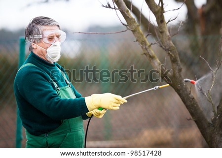 Using chemicals in the garden/orchard: gardener applying an insecticide/a fertilizer to his fruit shrubs, using a sprayer