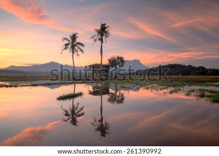 Beautiful panoramic rural landscape in the morning at paddy field, reflections old hut with trees on background mount kinabalu. (Shallow DOF, slight motion blur)