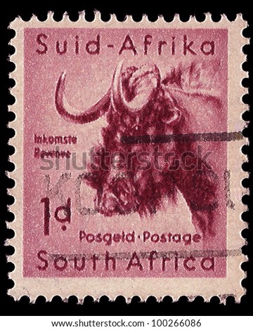 SOUTH AFRICA - CIRCA 1954: A stamp Printed in South Africa shows a Black Wildebeest, bilingually inscribed, circa 1954