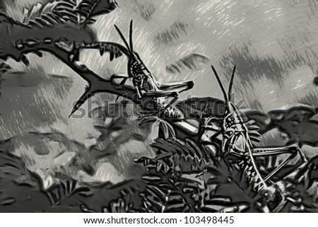 Black and White Drawing of Two Locusts on Branch