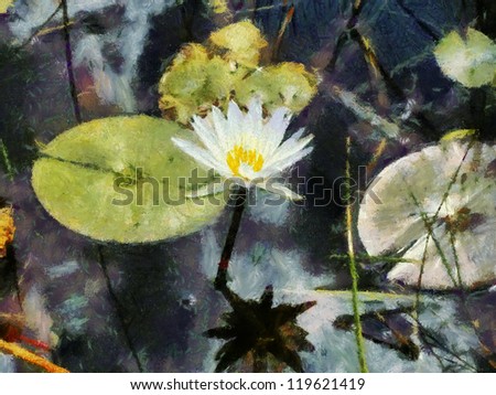 Painting of single Water Lily Flower in pond