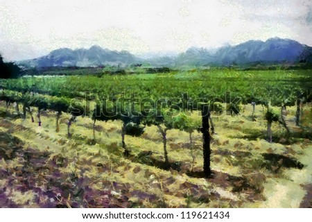 South African Vineyard artistic illustration and painted image