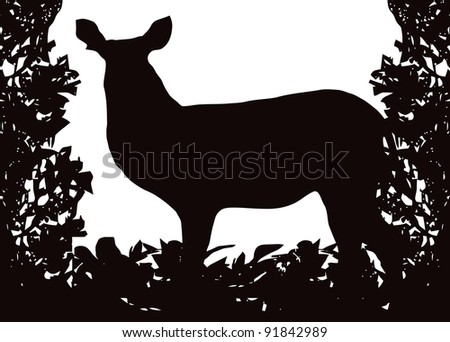Waterbuck in Isolated bush or jungle frame