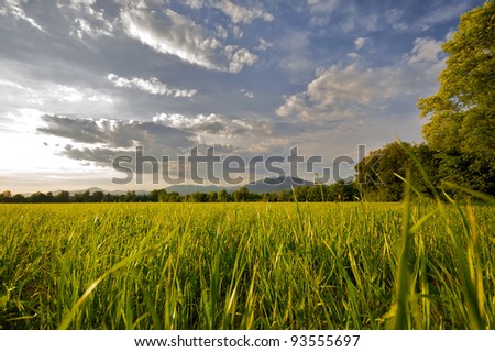 Countryside landscape sunset time in summer season