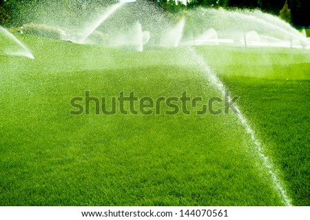 Pouring water of green lawn.design.landscape.Wet grass