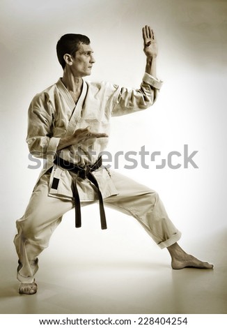punch.figure in the karate fighting stance on a white background.Sepia.