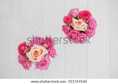 magenta roses with one coral rose on white background