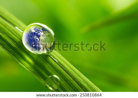 leaf with rain droplets - Recovery earth concept  /  rain drop on a leaf reflecting earth concept for environmental conservation \