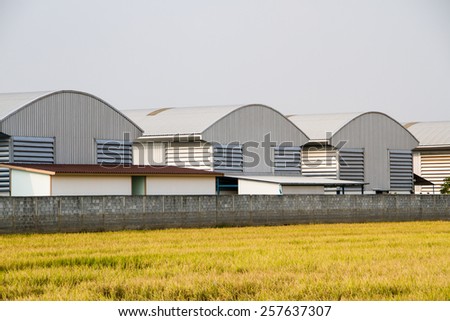 factory,power plant with rice