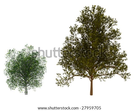 photoshop logo render. trees in plan for photoshop.