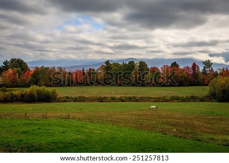Horse grazes in a New Hampshire pasture surrounded by mountains, trees with the colors of autumn and a threatening sky/Horse Grazing in a New Hampshire Pasture