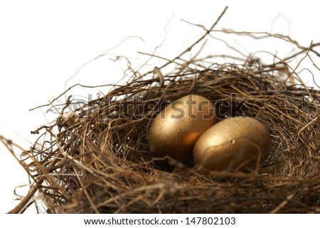 A couple gold nest eggs for the idea of a wealthy retirement fund.