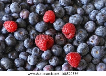 A closeup shot of some wild berries.