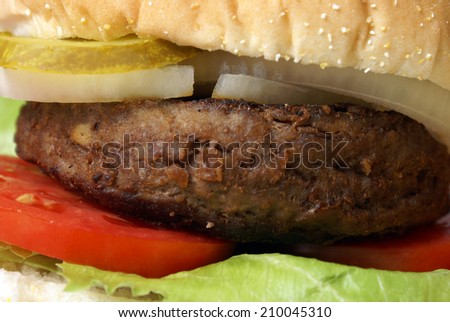A macro shot of a juicy cooked hamburger.