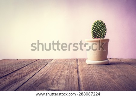Cactus on wooden desk vintage
