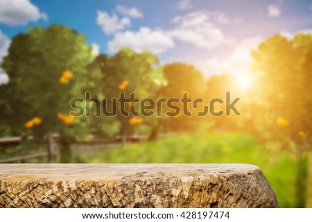 Space of old wood table over orange trees, orange field background. For product display.