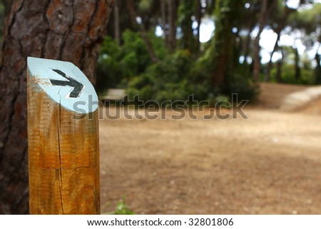 An arrow painted on a wood indicating the way forward