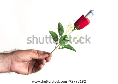 Giving Red Rose