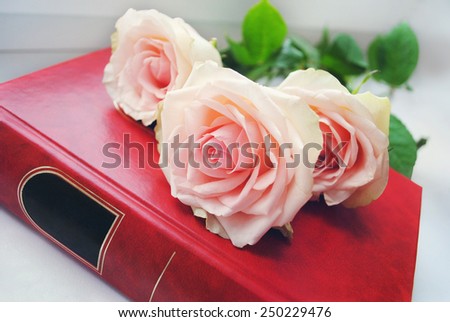 Delicate pink rose on a book in the red cover