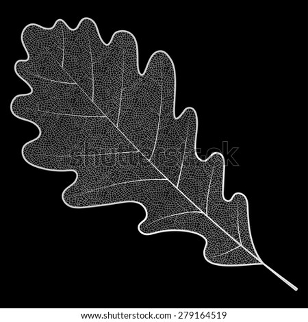 Silver oak leaf isolated on black background. Luxury jewelry design. Raster copy of vector file.