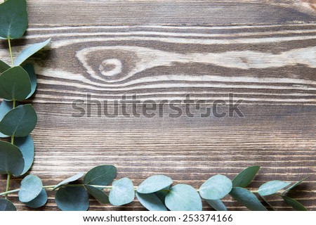 Eucalyptus frame on wooden table