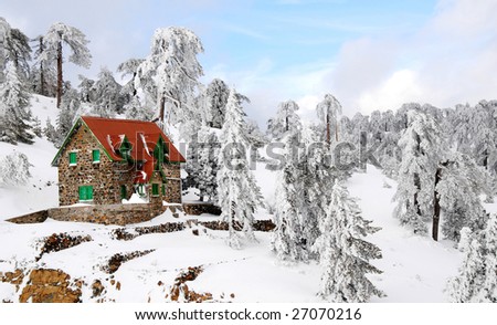Holiday house in the Forest at Troodos mountains in Cyprus during winter.