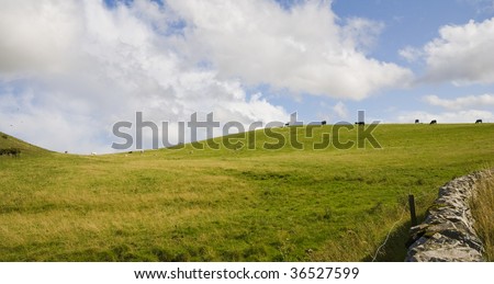 Scottish farmland in Melrose area at Southern Scotland near the Scottish borders with England