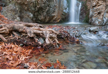 Waterfall splashing on a small lake with beautiful yellow leaves and tree roots. Waterfall is  Millommeri and it is located near Platres village at  at the mountain range of Troodos in Cyprus