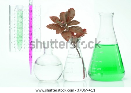 Seedling and chemical Test-Tube. Chimistry background