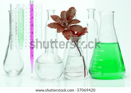 Seedling and chemical Test-Tube. Chimistry background