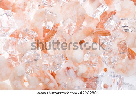 Shrimp frozen with cube ice