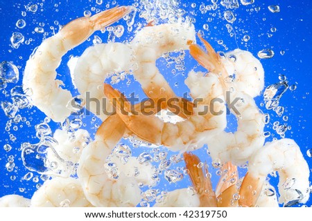 Shrimp cook in blue water.  Fresh Seafood