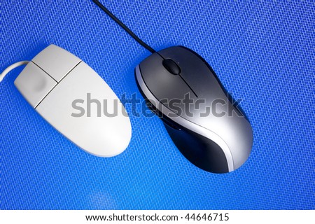 Mouse in blue background