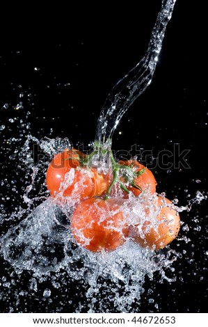 Tomato  with splashing water .Fresh vegetable.Vegetarian food background