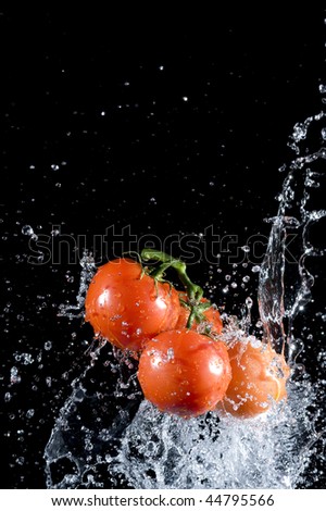 Tomato  with splashing water .Fresh vegetable.Vegetarian food background
