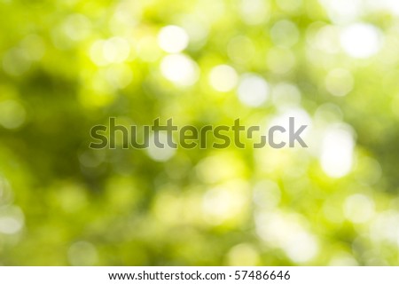 Green background with lush foliage