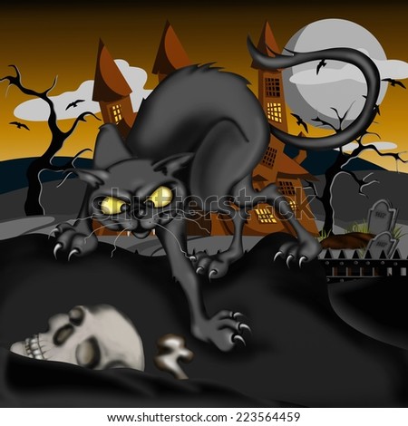 black cat and skull