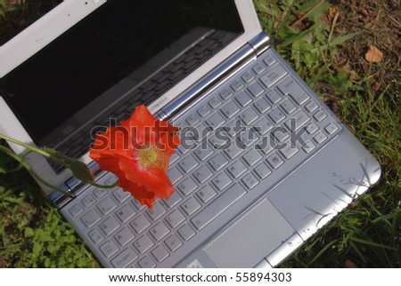 Computer and nature
