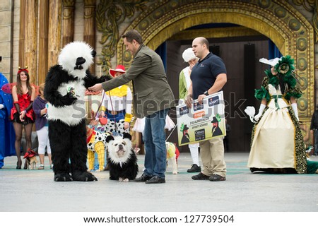 LAS PALMAS - FEBRUARY 3: Cira (dog), J. O. Casellano(l) and unidentified people from Canary Islands, receiving third prize, during the Carnival\'s Dogs Contest February 3, 2013 in Las Palmas, Spain
