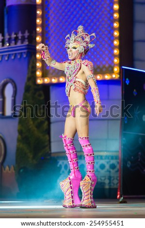 CANARY ISLAND, SPAIN - FEBRUARY 20, 2015: Drag Ziben with costume and pink drag queen shoes from designer Jonay Espino onstage during city of Las Palmas carnival Drag Queen Gala